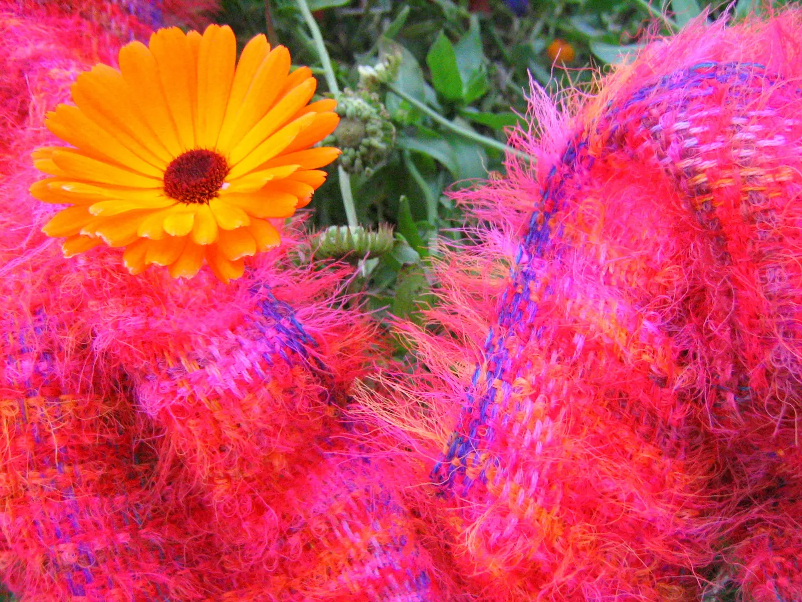 Dublin Whiskey, Writers & Revolutionaries image