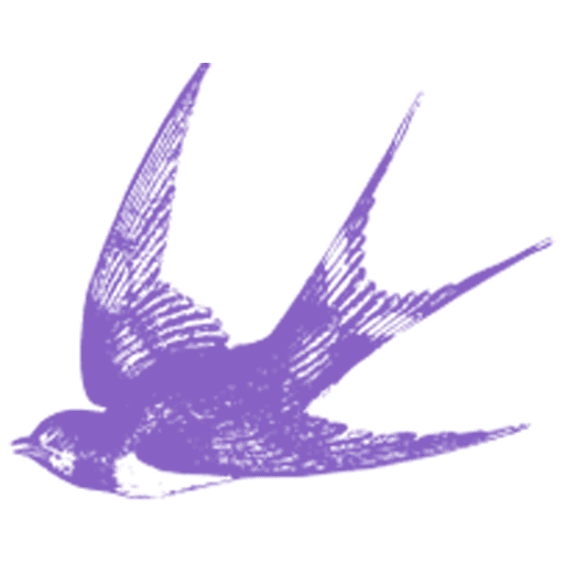 Liz Christy Ltd logo